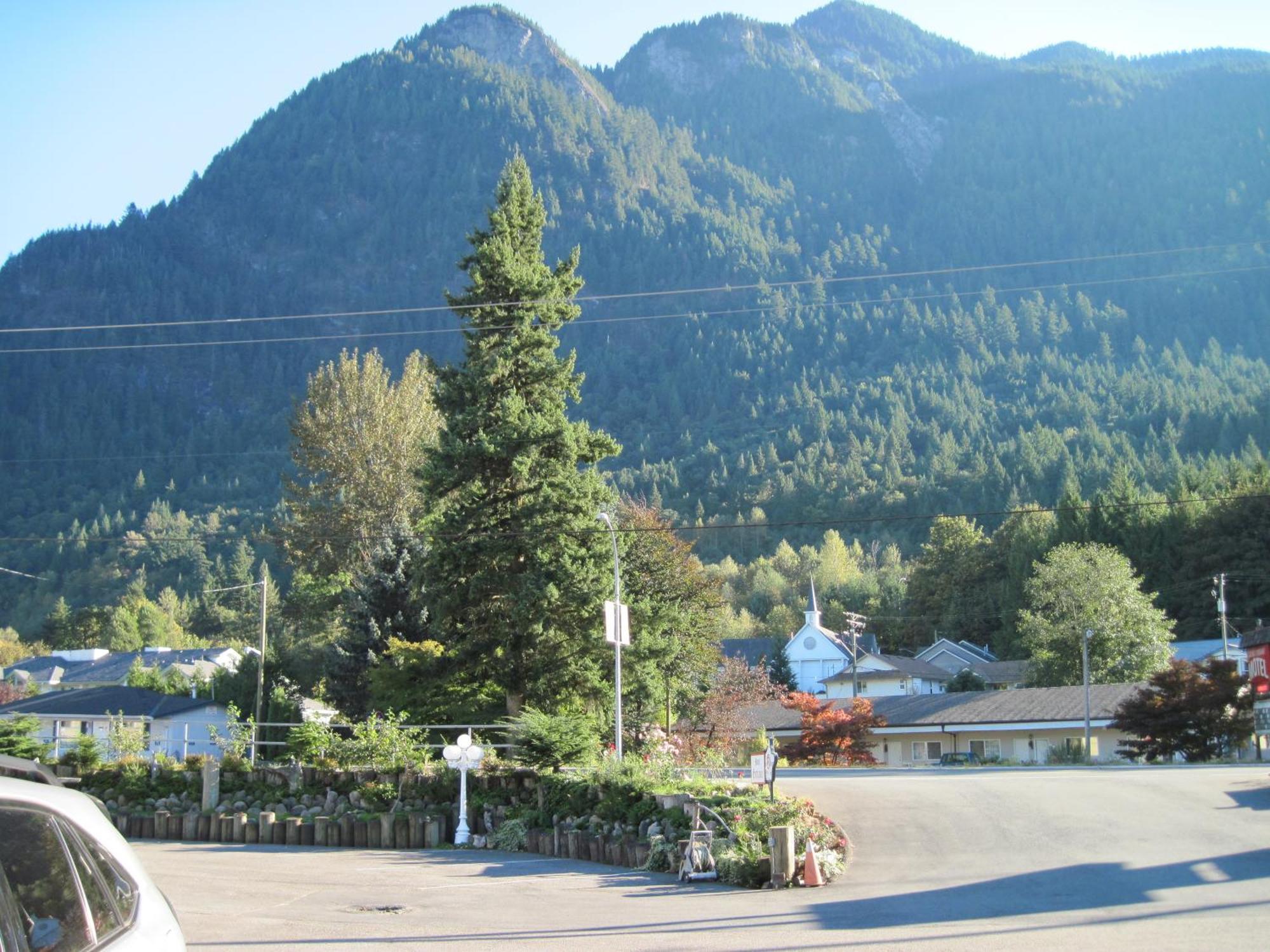 Motel Alpine Hope